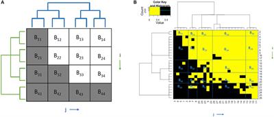 Coupling Geometry on Binary Bipartite Networks: Hypotheses Testing on Pattern Geometry and Nestedness